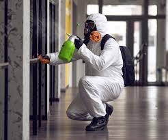 Trusted Western Lake, TX Mold Removal Services Experts